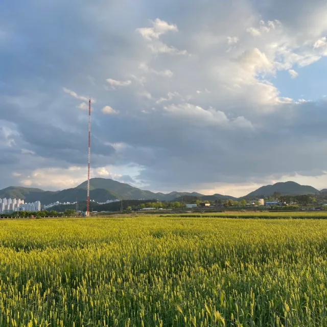 살기좋은동네