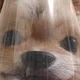 빛나