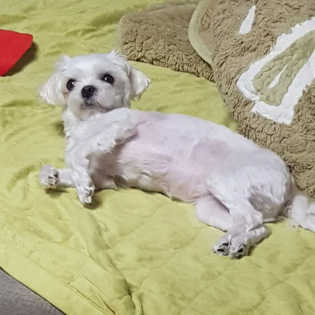 우우