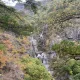 김회장