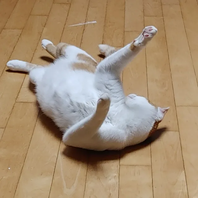 이응123