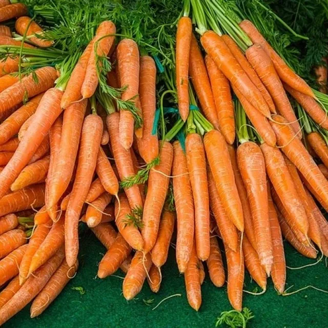 당톡당톡