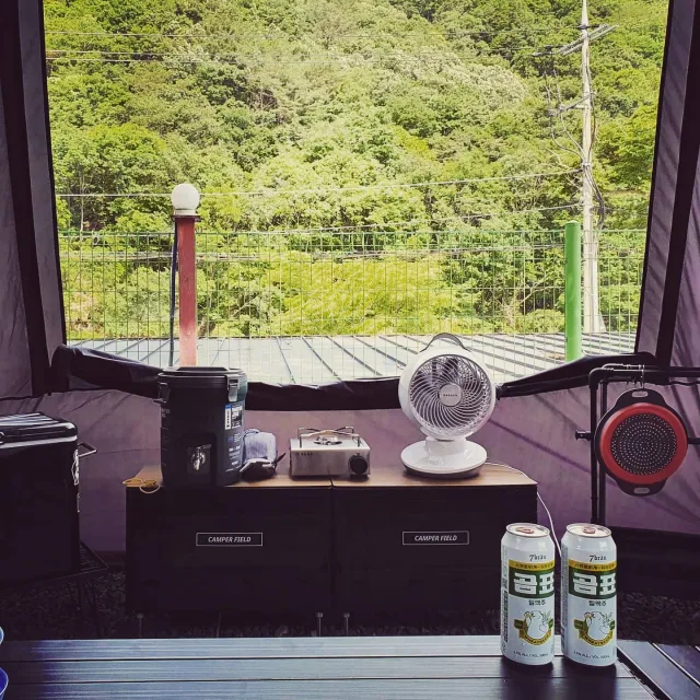 Camper86
