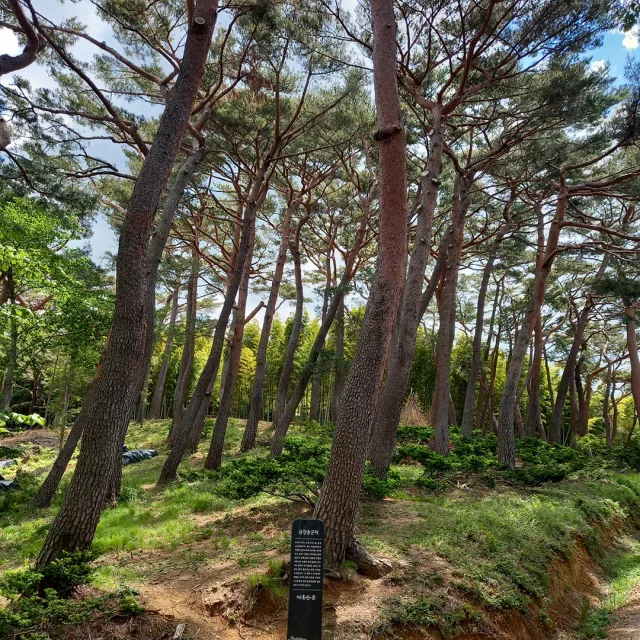 겨울바람