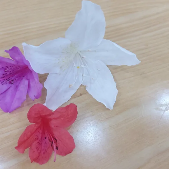 여름