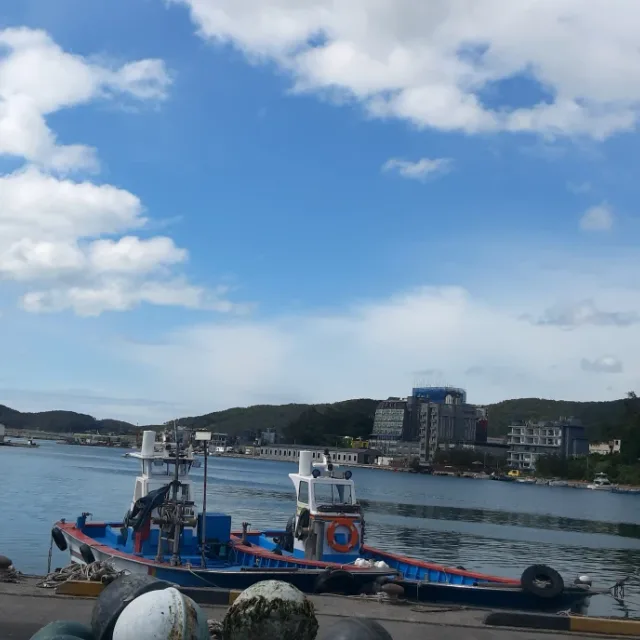 비둘기
