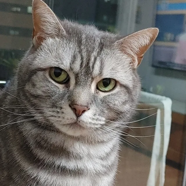 칸맘