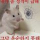 앍갉잙용서못해