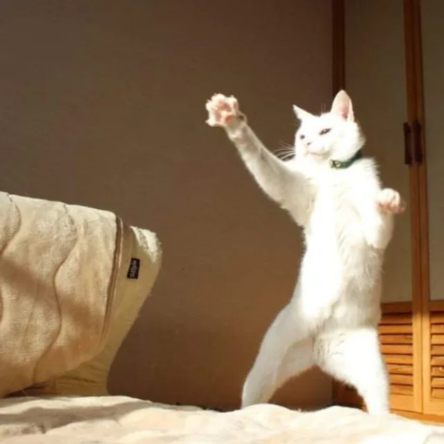 덴버