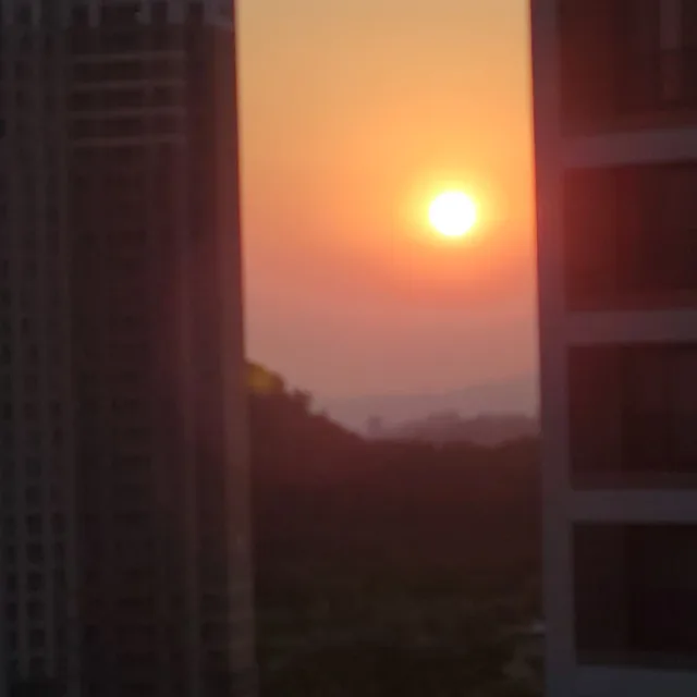 모모렌지