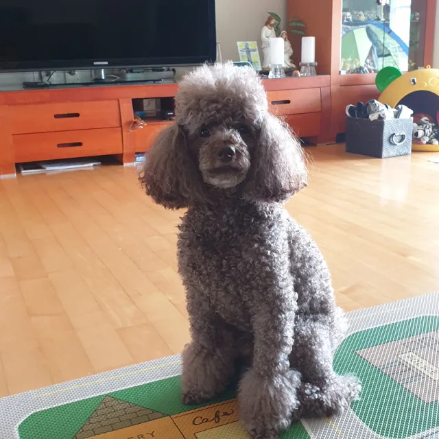 마루네