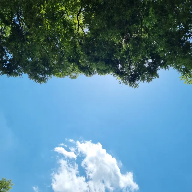 당케당케