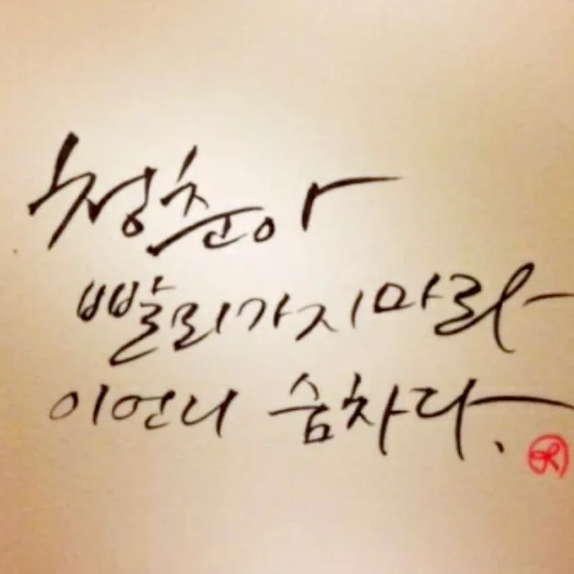 꽃들도