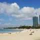 알로하