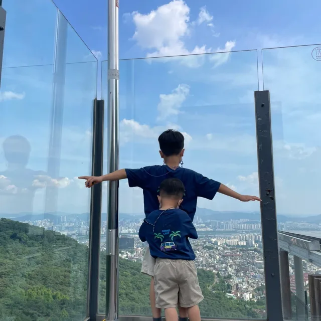 최선최강