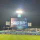 비비빔