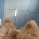 뚜꺙