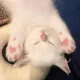 냥냥꾸꾹