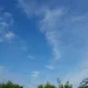 풀꽃