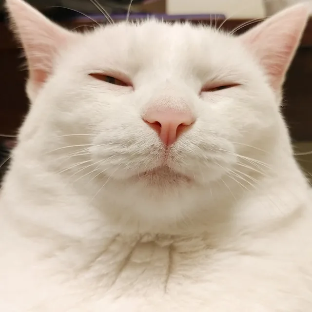 주황색형광펜