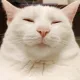주황색형광펜