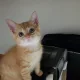 셀러