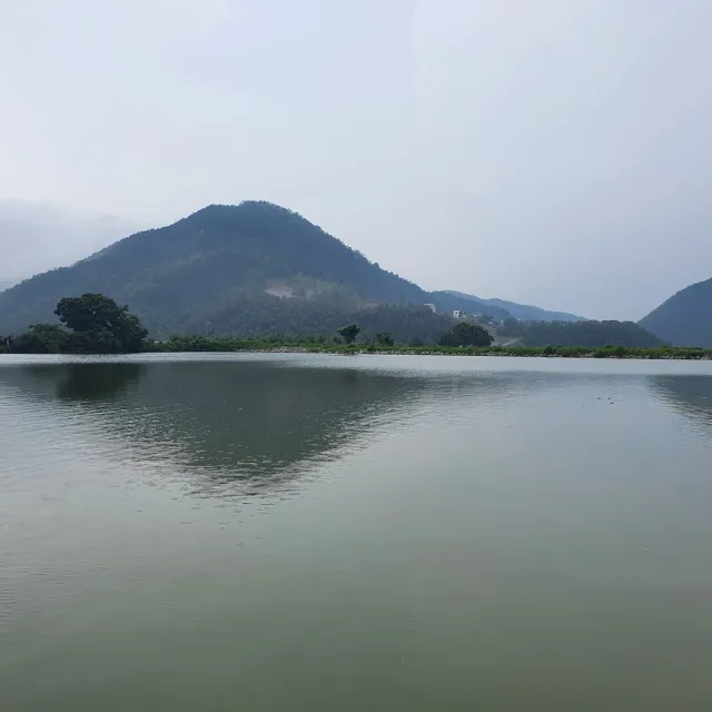 파란