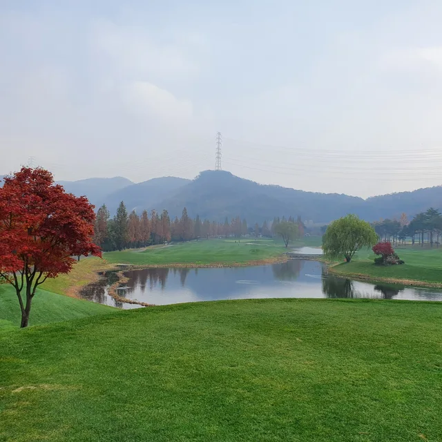 초록은동색