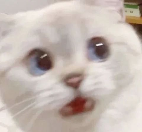 오앙