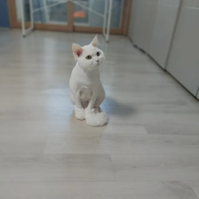 민형맘