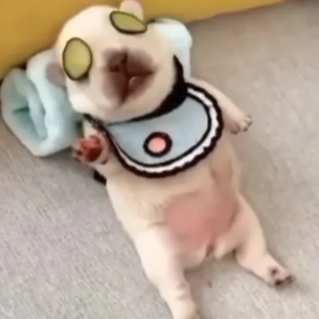 오복뽀별맘