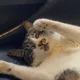 유리아쥬