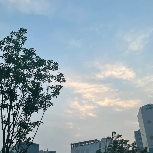 나룽룽