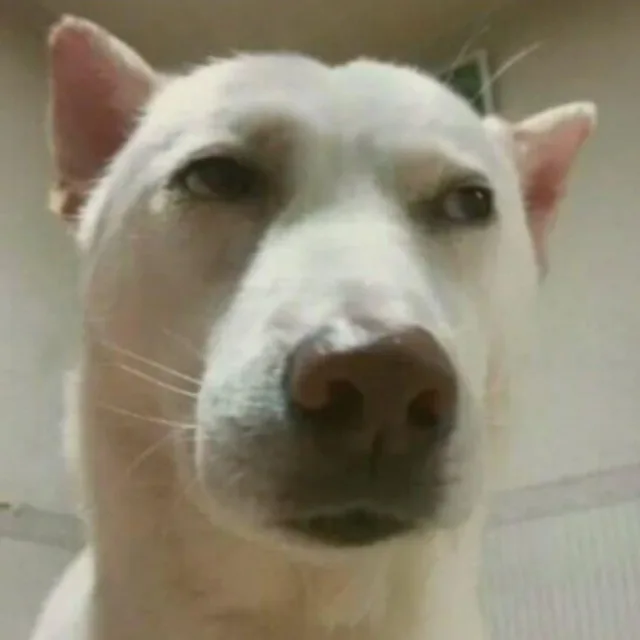 조신