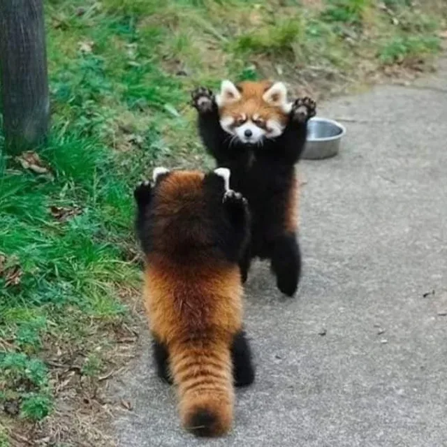책팔아요