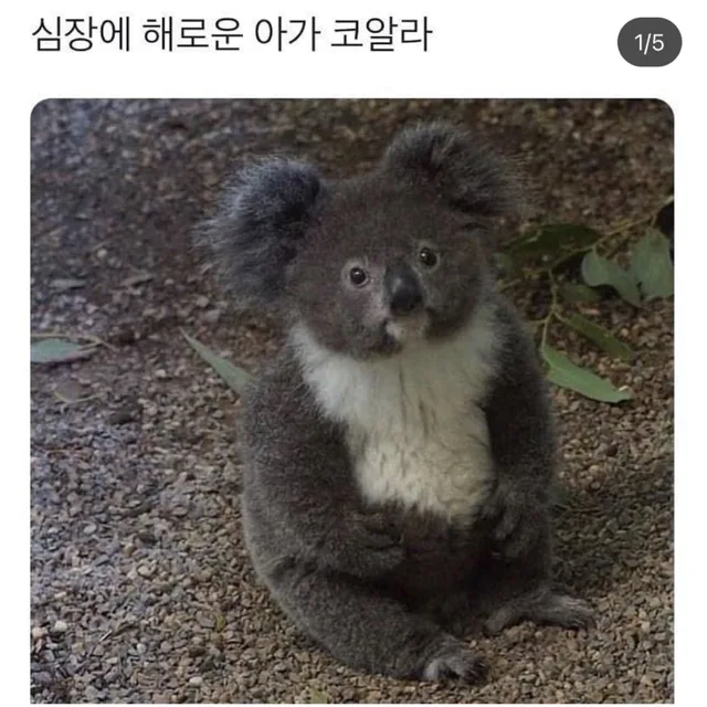 고구마송편