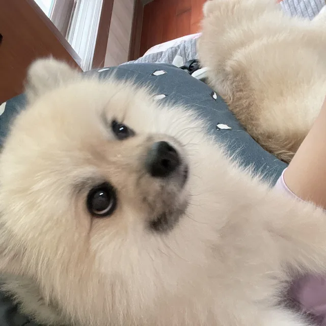 heyj