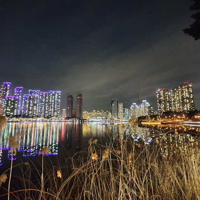 모리의날