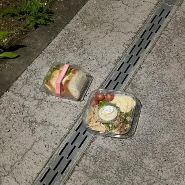도시락의눈물