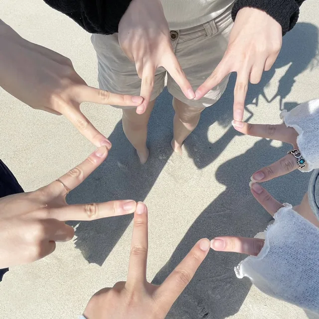 중고냥