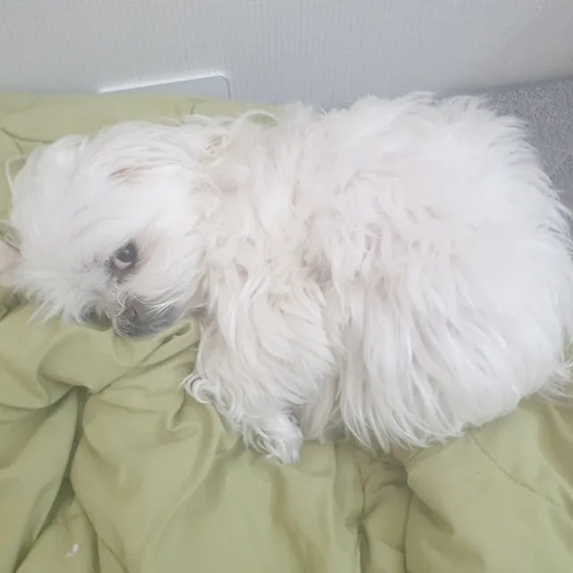 하루이틀맘