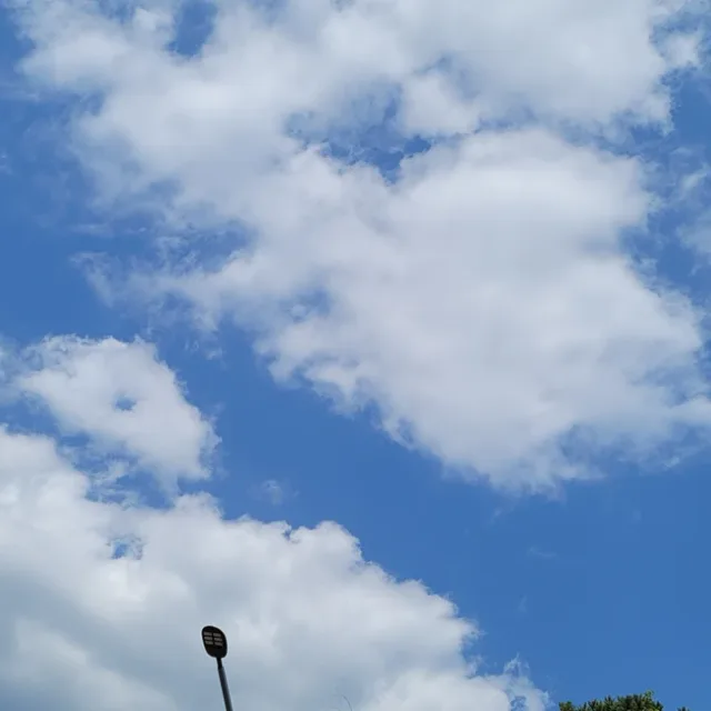 토니