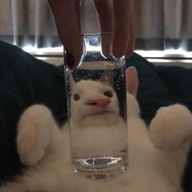 새벽