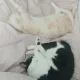 고상한푼수