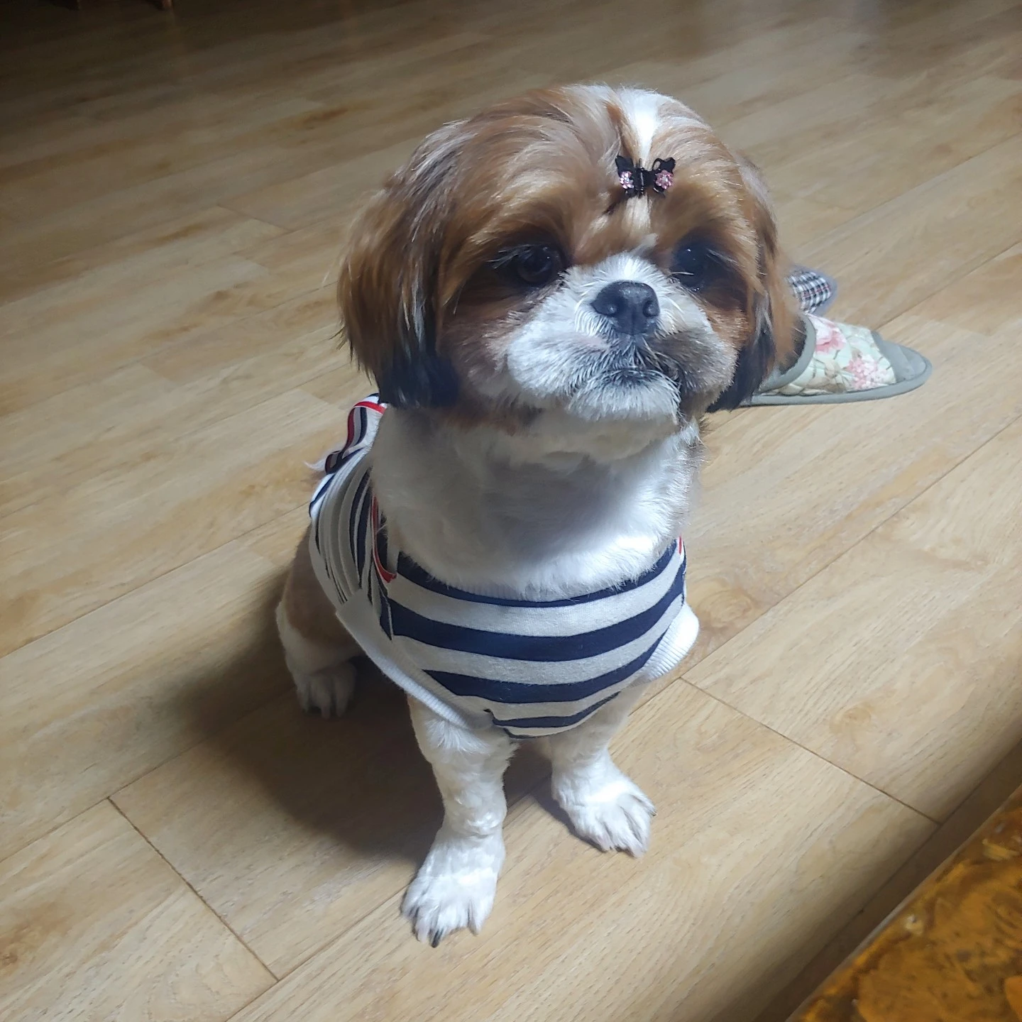 뭉뚱맘