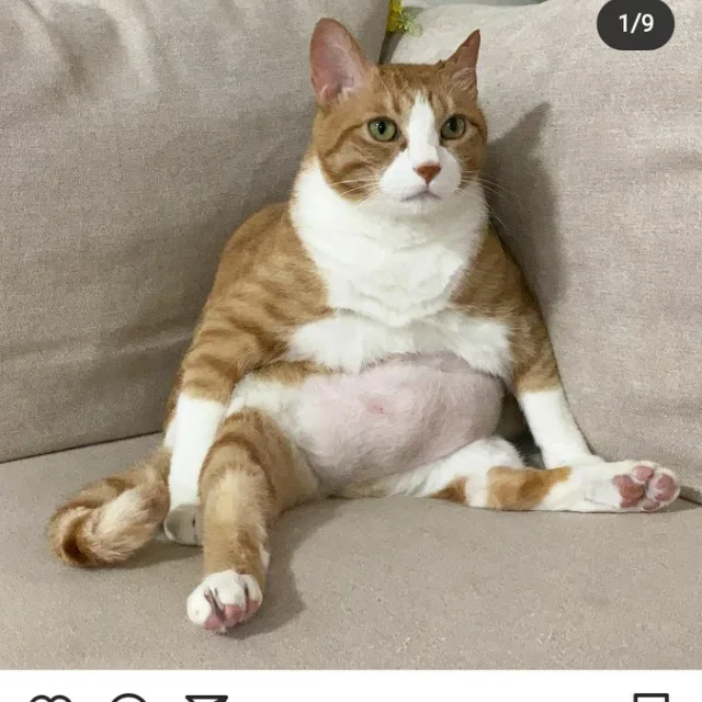 가을이왔네