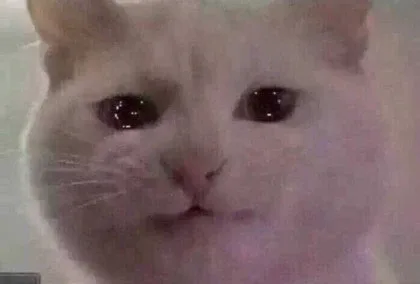 비몽사몽