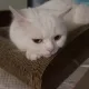 바람