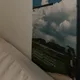 홀씨