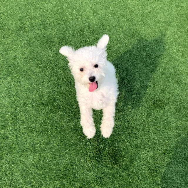써니